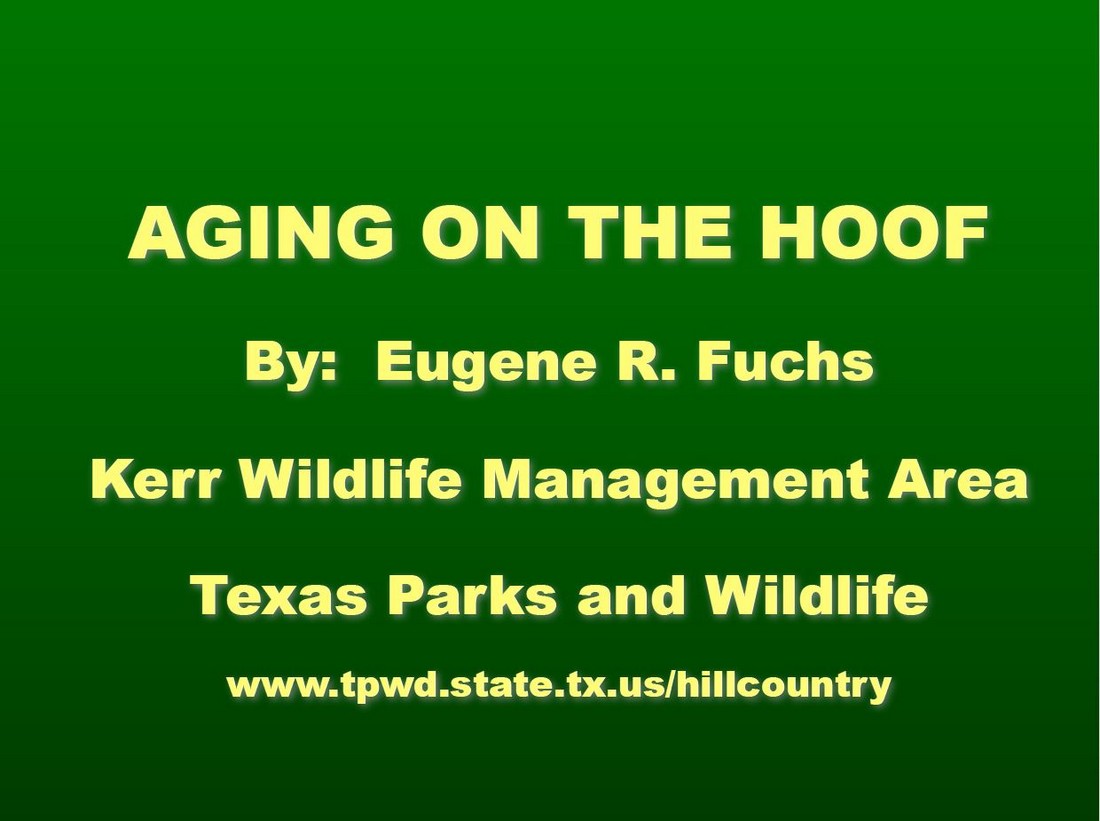 Aging Deer on the Hoof: Texas Slideshow