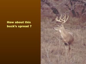 Aging Deer in Texas 29 | Aging Bucks on the Hoof